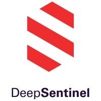 Deep Sentinel Logo