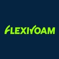 Flexiroam Logo