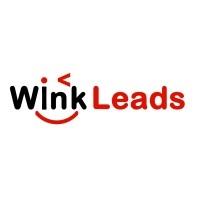 WinkLeads Logo