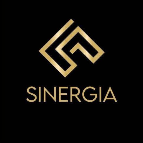 Danil Sinergia Logo